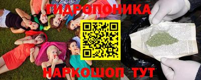 Альфа ПВП Можайск
