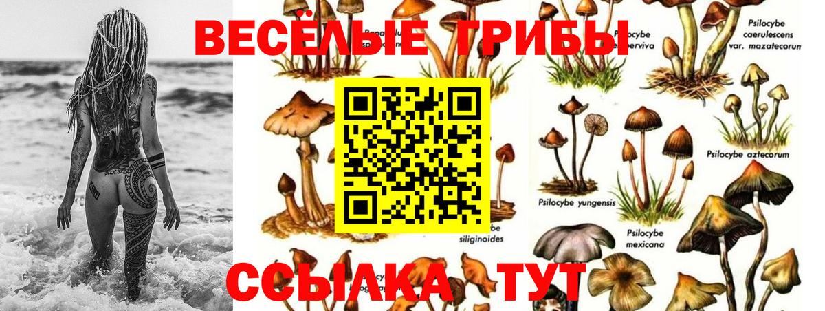 Галлюциногенные грибы MAGIC MUSHROOMS Обнинск