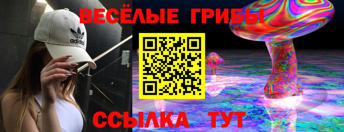 Галлюциногенные грибы мицелий  Вход с VPN  Обнинск 